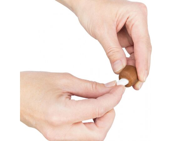 TRIXIE 25841 DOG / CAT TREAT SNACKS 100 G