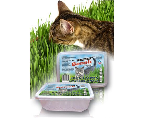 CERTECH 10319 PET GRASS SEED CAT