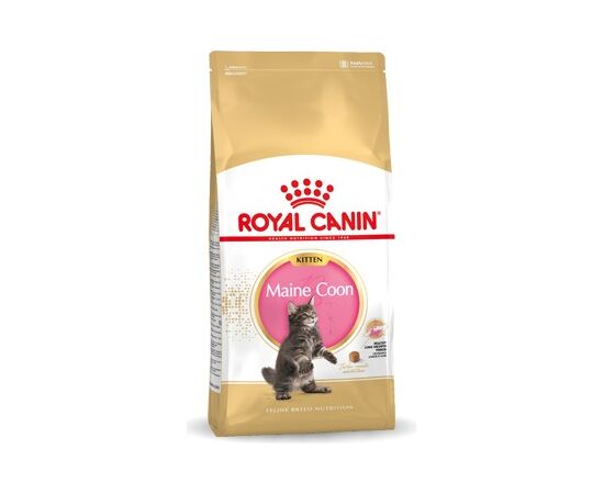 ROYAL CANIN MAINE COON KITTEN CATS DRY FOOD 10 KG