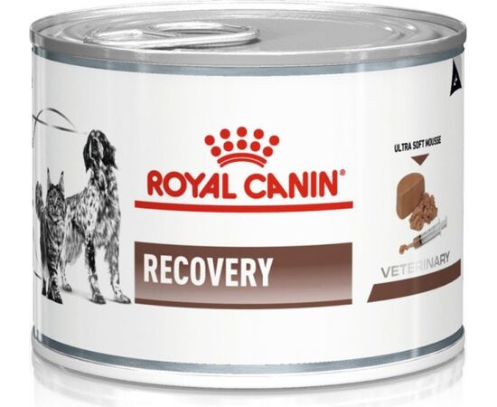 ROYAL CANIN RECOVERY WET DOG AND CAT FOOD MOUSSE POULTRY, PORK 195 G