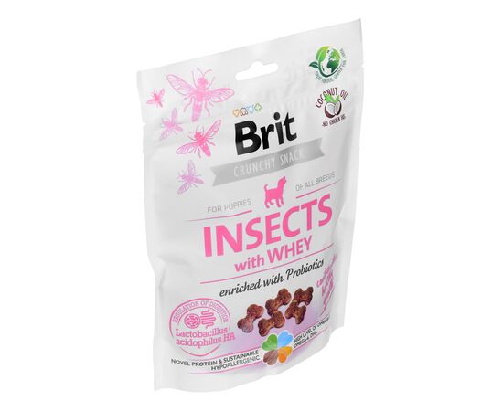 BRIT CARE DOG INSECTS&WHEY - DOG TREAT - 200 G