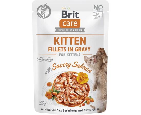 BRIT CARE CAT KITTEN SAVORY SALMON POUCH 85G