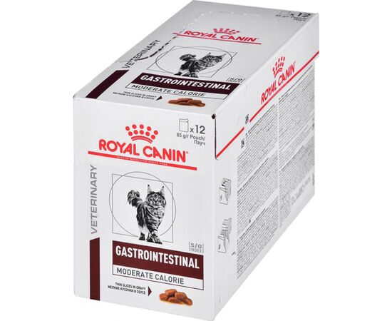 ROYAL CANIN INTESTINAL GASTRO MODERATE CAT 12X85G