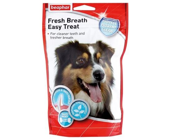 BEAPHAR VITAMIN TREAT FOR DOGS - 150 G