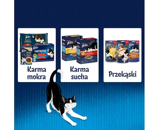 PURINA NESTLE FELIX SENSATIONS COUNTRY FLAVORS IN JELLY 24 X 85 G