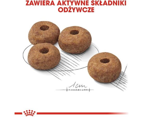 ROYAL CANIN CCN MEDIUM STERILISED ADULT DOG 12KG