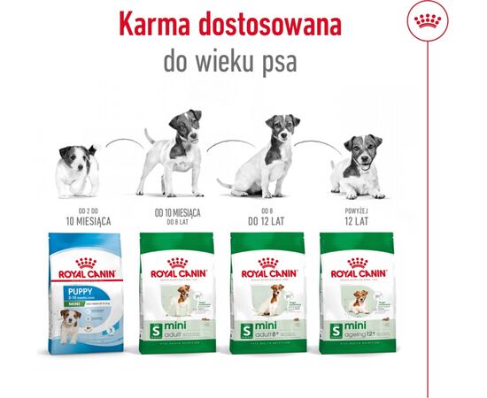 ROYAL CANIN MINI ADULT +8 - DRY DOG FOOD - 2KG