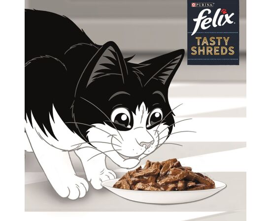 PURINA NESTLE FELIX TASTY SHREDS WITH DUCK AND TURKEY - 4X 80G