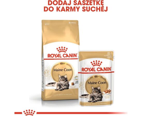 ROYAL CANIN MAINE COON ADULT - WET CAT FOOD - 12 X 85G