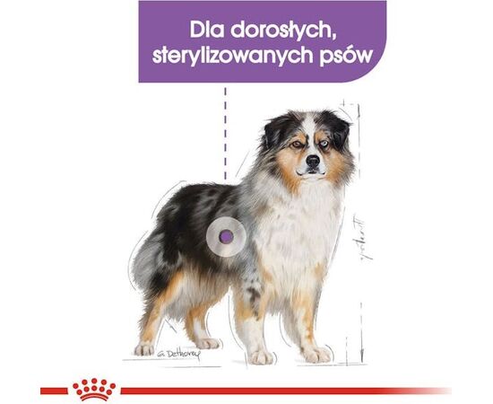 ROYAL CANIN CCN MEDIUM STERILISED ADULT DOG 12KG