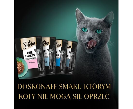 SHEBA DELICACY FISHY FLAVOURS IN JELLY - WET CAT FOOD - 80X 85G
