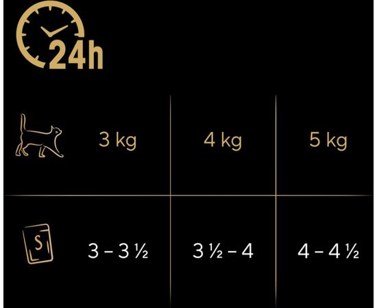 SHEBA DELICACY IN JELLY CHICKEN FLAVOURS 12 X 85 G