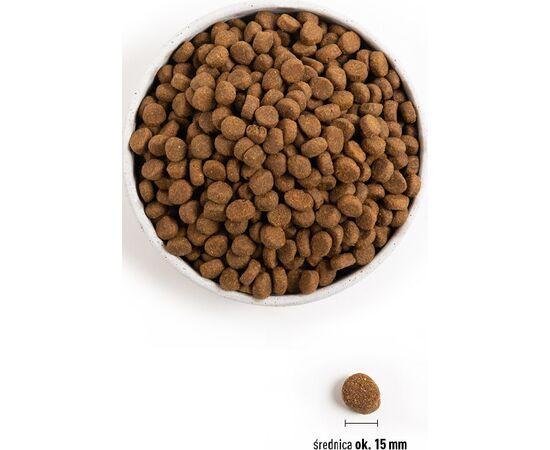 ORIJEN PUPPY LARGE 11.4 KG CHICKEN, FISH, TURKEY