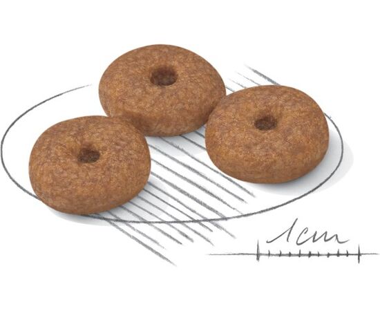 ROYAL CANIN MINI AGEING 12+ 3.5 KG ADULT