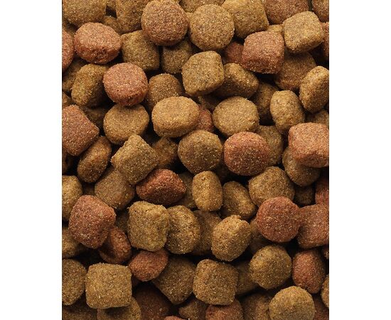 VERSELE-LAGA CLASSIC DUO KROK - DRY DOG FOOD - 20 KG