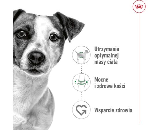 ROYAL CANIN SHN MINI ADULT IN SAUCE - WET DOG FOOD - 12X85G