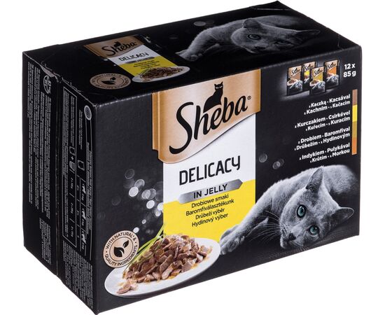 SHEBA DELICACY IN JELLY CHICKEN FLAVOURS 12 X 85 G