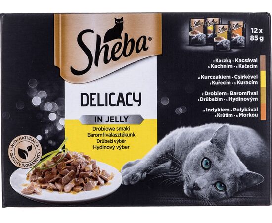SHEBA DELICACY IN JELLY CHICKEN FLAVOURS 12 X 85 G