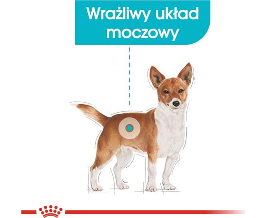 ROYAL CANIN MINI URINARY CARE CCN - DRY DOG FOOD - 1KG