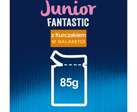 PURINA NESTLE FELIX FANSTASTIC JUNIOR - WET CAT FOOD - 85 G