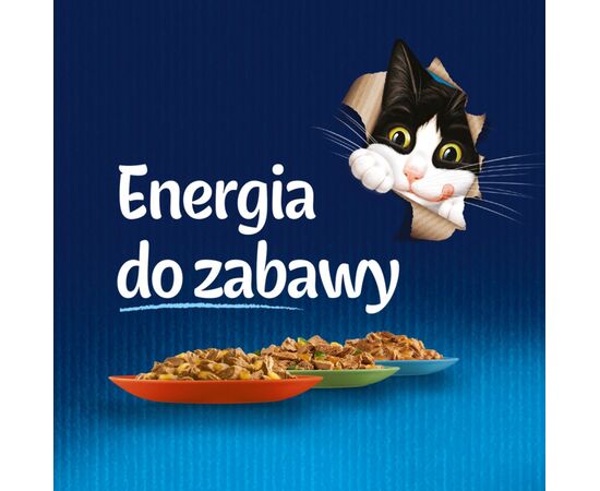 PURINA NESTLE FELIX FANSTASTIC JUNIOR - WET CAT FOOD - 85 G