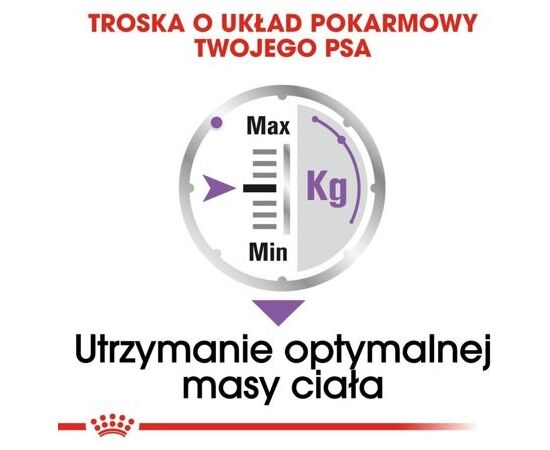 ROYAL CANIN CCN STERILISED LOAF - WET FOOD FOR ADULT DOGS - 12X85G