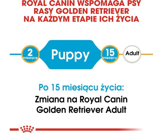 ROYAL CANIN GOLDEN RETRIEVER JUNIOR PUPPY POULTRY 12 KG