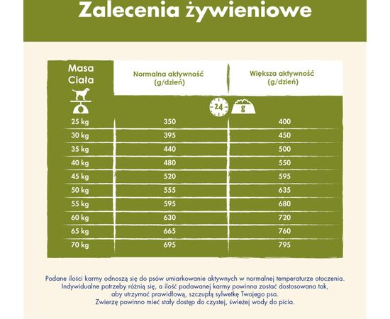 PURINA NESTLE PURINA DOG CHOW LARGE BREED ADULT 14 KG TURKEY