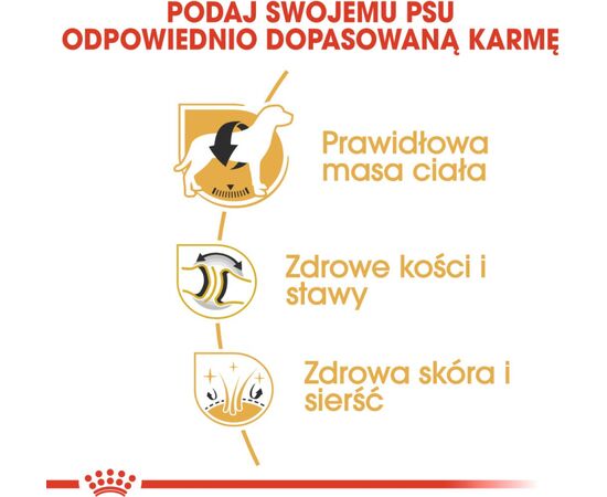 ROYAL CANIN LABRADOR RETRIEVER ADULT 12 KG POULTRY, RICE