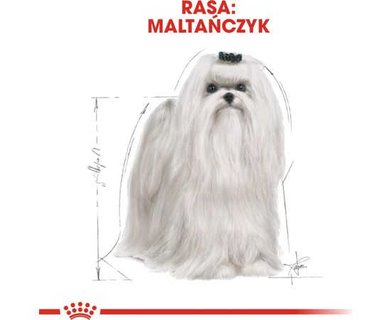 ROYAL CANIN MALTESE ADULT CORN, POULTRY 0.5 KG