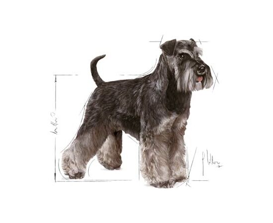 ROYAL CANIN MINIATURE SCHNAUZER ADULT 7.5 KG
