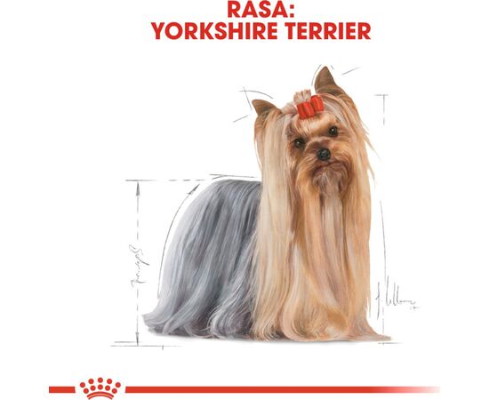 ROYAL CANIN YORKSHIRE TERRIER 0,5KG