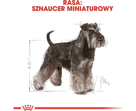 ROYAL CANIN MINIATURE SCHNAUZER ADULT 3 KG