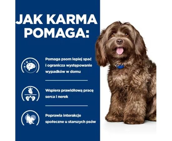 HILL'S PD B/D BRAIN AGING CARE CHICKEN - DRY DOG FOOD - 12KG