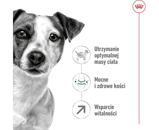 ROYAL CANIN MINI ADULT 8+ 8 KG SENIOR POULTRY, RICE, VEGETABLE