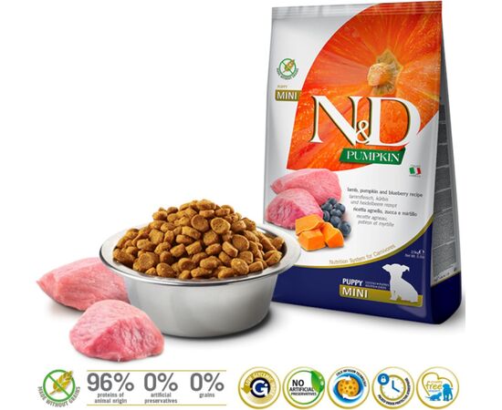 FARMINA N&D GF PUMPKIN DOG LAMB&BLUEBERRY PUPPY MINI 2.5KG