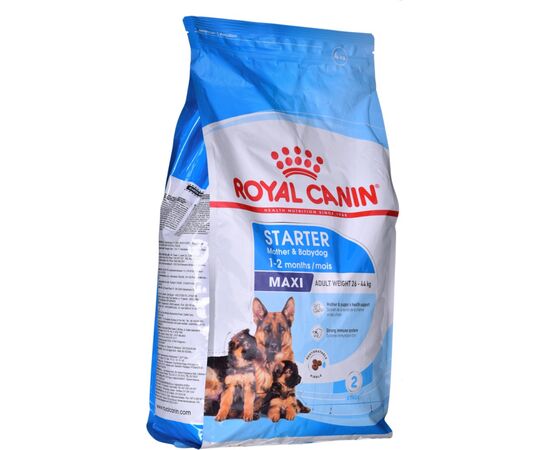 ROYAL CANIN SHN MAXI STARTER MOTHER & BABYDOG - DRY DOG FOOD - 4 KG
