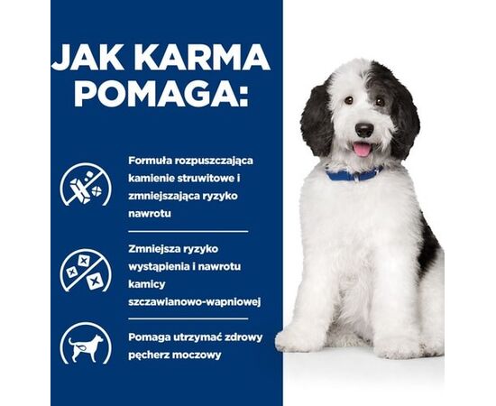 HILL'S PRESCRIPTION DIET CANINE C/D MULTICARE DRY DOG FOOD CHICKEN 12 KG