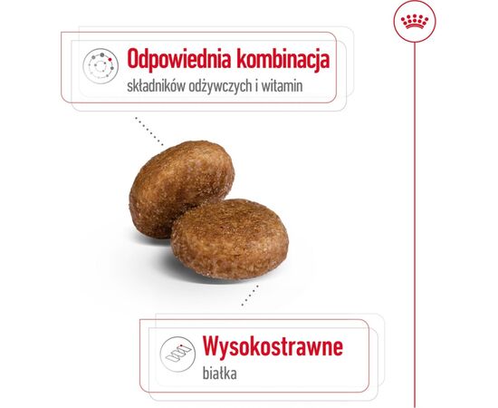 ROYAL CANIN MAXI ADULT 5+ 15 KG POULTRY, RICE