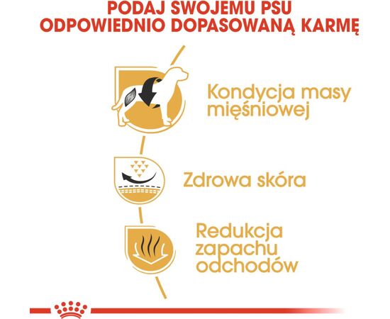 ROYAL CANIN FRENCH BULLDOG ADULT 3 KG