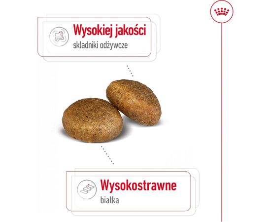 ROYAL CANIN MAXI ADULT 15 KG