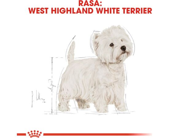 ROYAL CANIN WEST HIGHLAND WHITE TERRIER ADULT 3 KG MAIZE, POULTRY