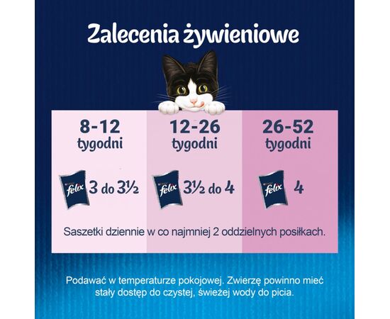 PURINA NESTLE FELIX FANSTASTIC JUNIOR - WET CAT FOOD - 85 G