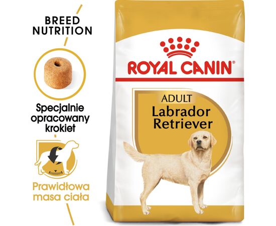 ROYAL CANIN LABRADOR RETRIEVER ADULT 12 KG POULTRY, RICE