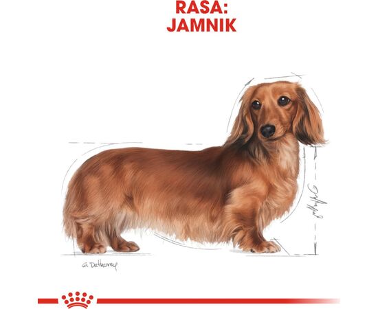ROYAL CANIN BHN DACHSHUND ADULT - DRY FOOD FOR ADULT DOGS - 1.5KG