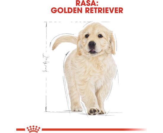 ROYAL CANIN GOLDEN RETRIEVER JUNIOR PUPPY POULTRY 12 KG