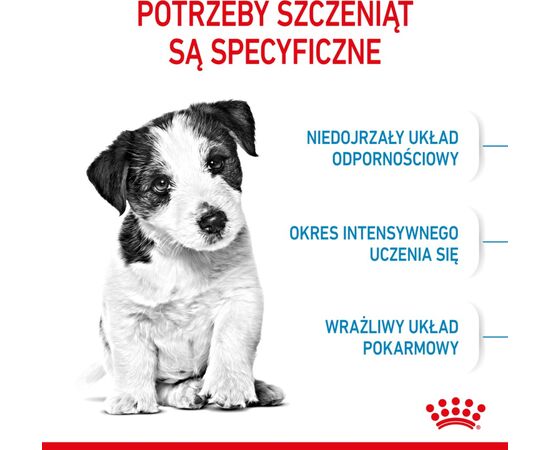 ROYAL CANIN SHN MINI PUPPY 8 KG