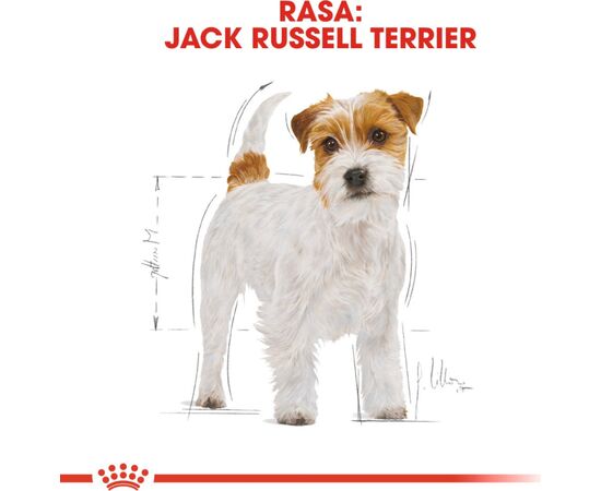 ROYAL CANIN JACK RUSSELL ADULT 7.5 KG POULTRY, RICE