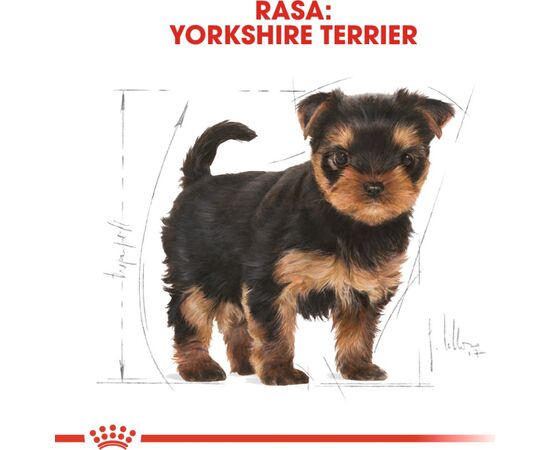 ROYAL CANIN SHN BREED YORKSHIRE JUNIOR 7,5 KG