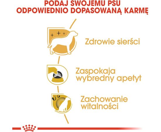 ROYAL CANIN BHN YORKSHIRE TERRIER ADULT - DRY DOG FOOD - 1.5KG